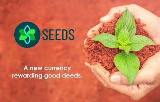 Η SEEDS είναι ένας οργανισμός που επικεντρώνεται στην αναγέννηση του πλανήτη.