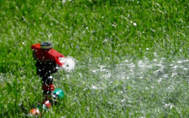 Πώς να φέρετε πίσω το νεκρό St. Augustine Grass